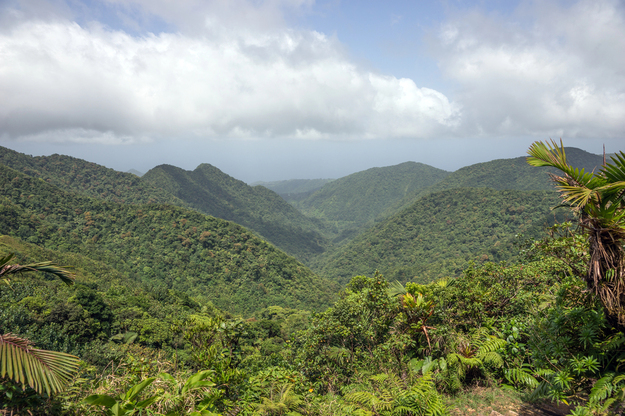 Caribbean_Honeymoon_Dominica_Mountains-1.jpg